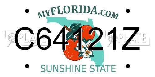 C64121Z Florida License Plate