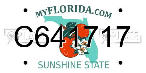 C641717 Florida License Plate