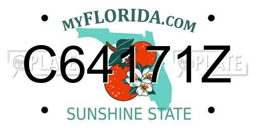 C64171Z Florida License Plate