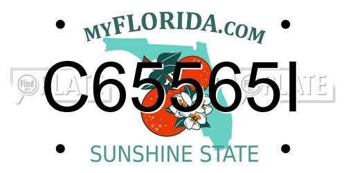 C65565I Florida License Plate