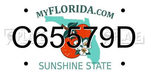 C65579D Florida License Plate