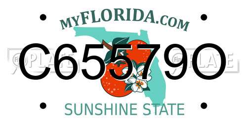 C65579O Florida License Plate