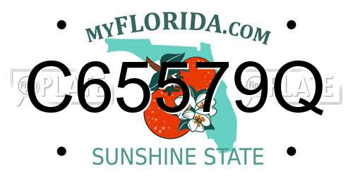 C65579Q Florida License Plate