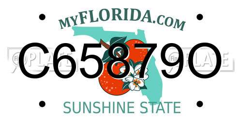 C65879O Florida License Plate