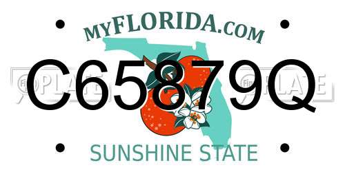 C65879Q Florida License Plate