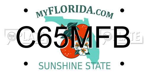 C65MFB Florida License Plate