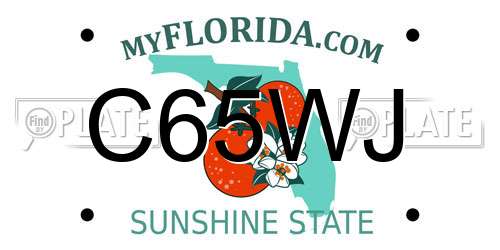 C65WJ Florida License Plate