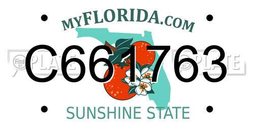 C661763 Florida License Plate