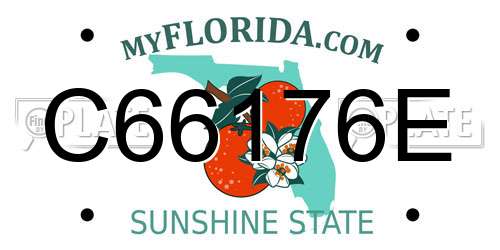 C66176E Florida License Plate