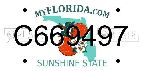 C669497 Florida License Plate