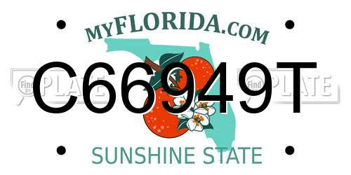 C66949T Florida License Plate