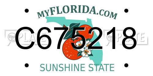 C675218 Florida License Plate