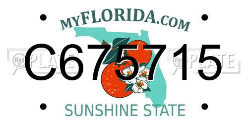 C675715 Florida License Plate