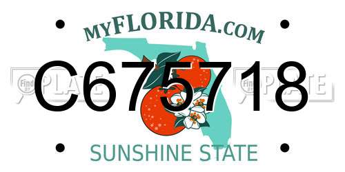 C675718 Florida License Plate