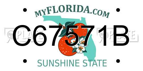 C67571B Florida License Plate