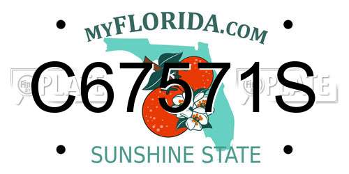 C67571S Florida License Plate