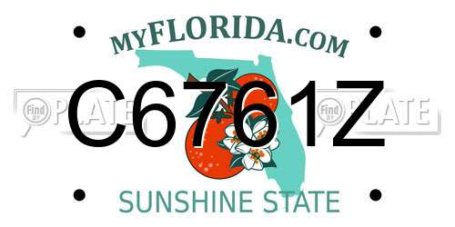 C6761Z Florida License Plate