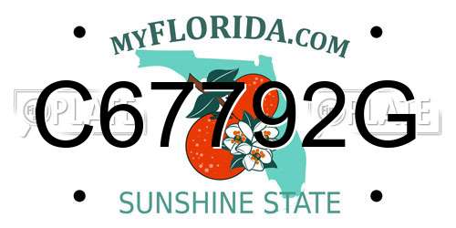 C67792G Florida License Plate