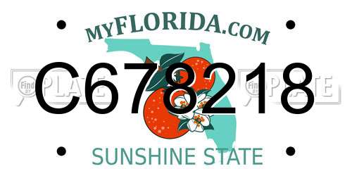 C678218 Florida License Plate