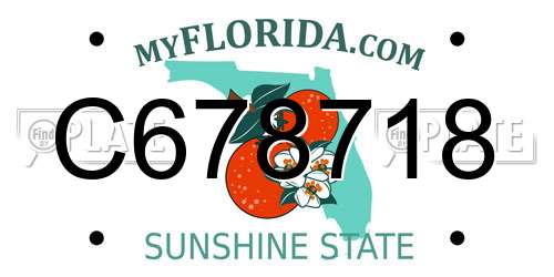 C678718 Florida License Plate