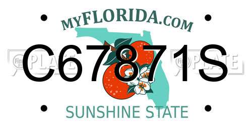 C67871S Florida License Plate
