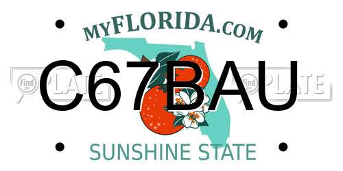 C67BAU Florida License Plate