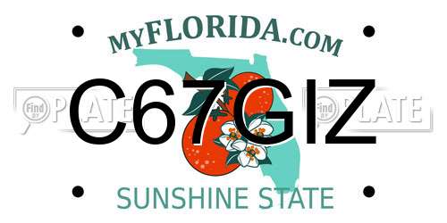 C67GIZ Florida License Plate