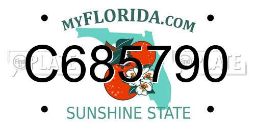 C685790 Florida License Plate