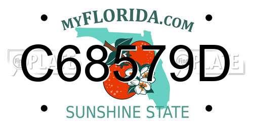 C68579D Florida License Plate