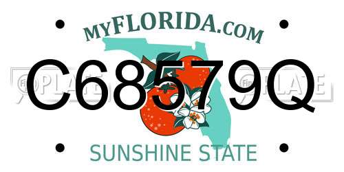 C68579Q Florida License Plate