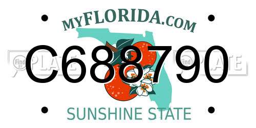 C688790 Florida License Plate