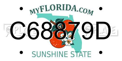 C68879D Florida License Plate