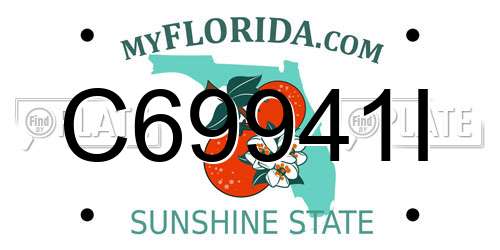 C69941I Florida License Plate