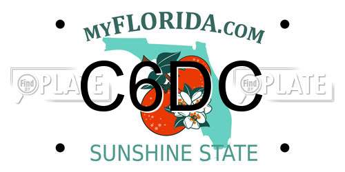 C6DC Florida License Plate