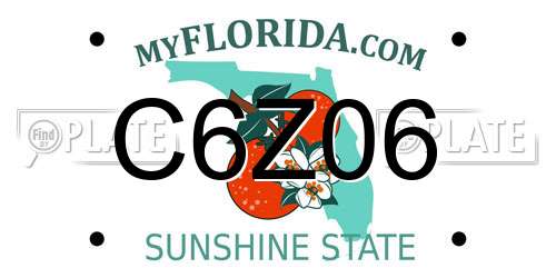 C6Z06 Florida License Plate