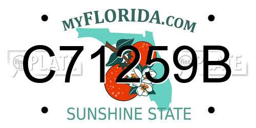 C71259B Florida License Plate