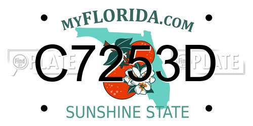 C7253D Florida License Plate
