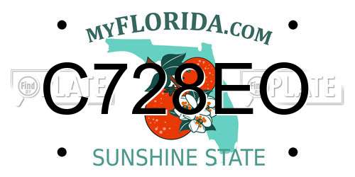C728EO Florida License Plate