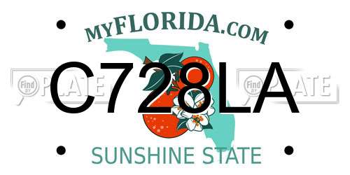 C728LA Florida License Plate