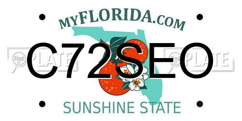 C72SEO Florida License Plate