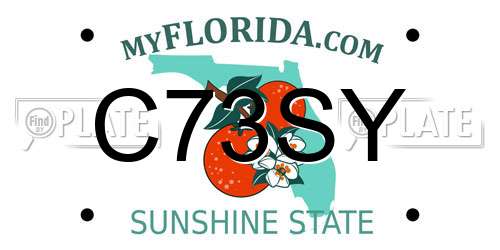 C73SY Florida License Plate