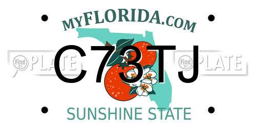 C73TJ Florida License Plate