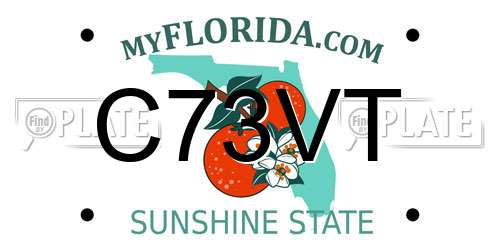 C73VT Florida License Plate