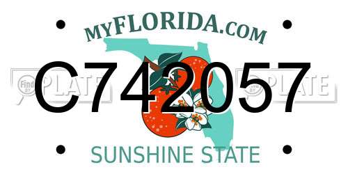 C742057 Florida License Plate