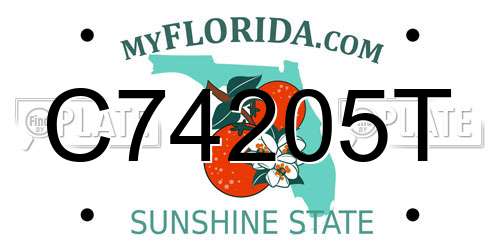 C74205T Florida License Plate