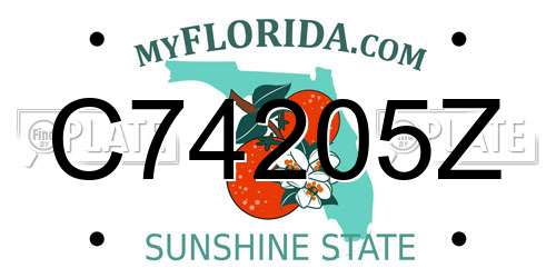 C74205Z Florida License Plate