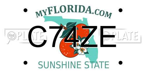C74ZE Florida License Plate