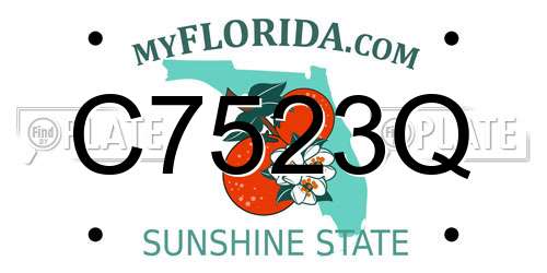C7523Q Florida License Plate