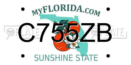 C755ZB Florida License Plate