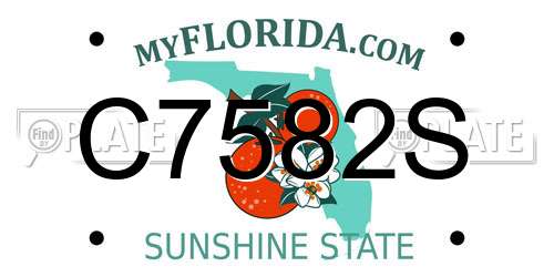 C7582S Florida License Plate